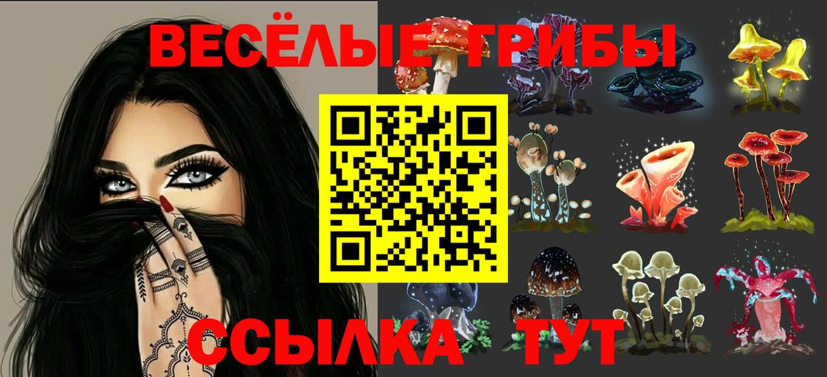 Псилоцибиновые грибы мицелий  Вход с VPN  Всеволожск 